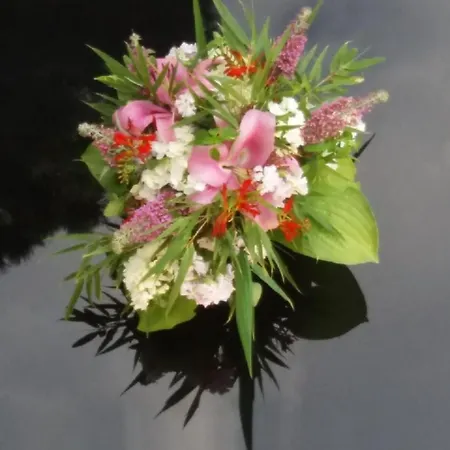 Murtalblick In Poels By Interhome * Pols